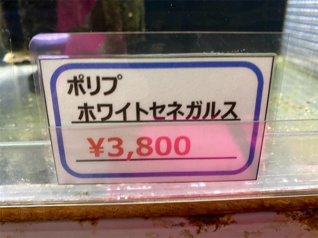 f:id:egaodegenki:20240625001931j:image