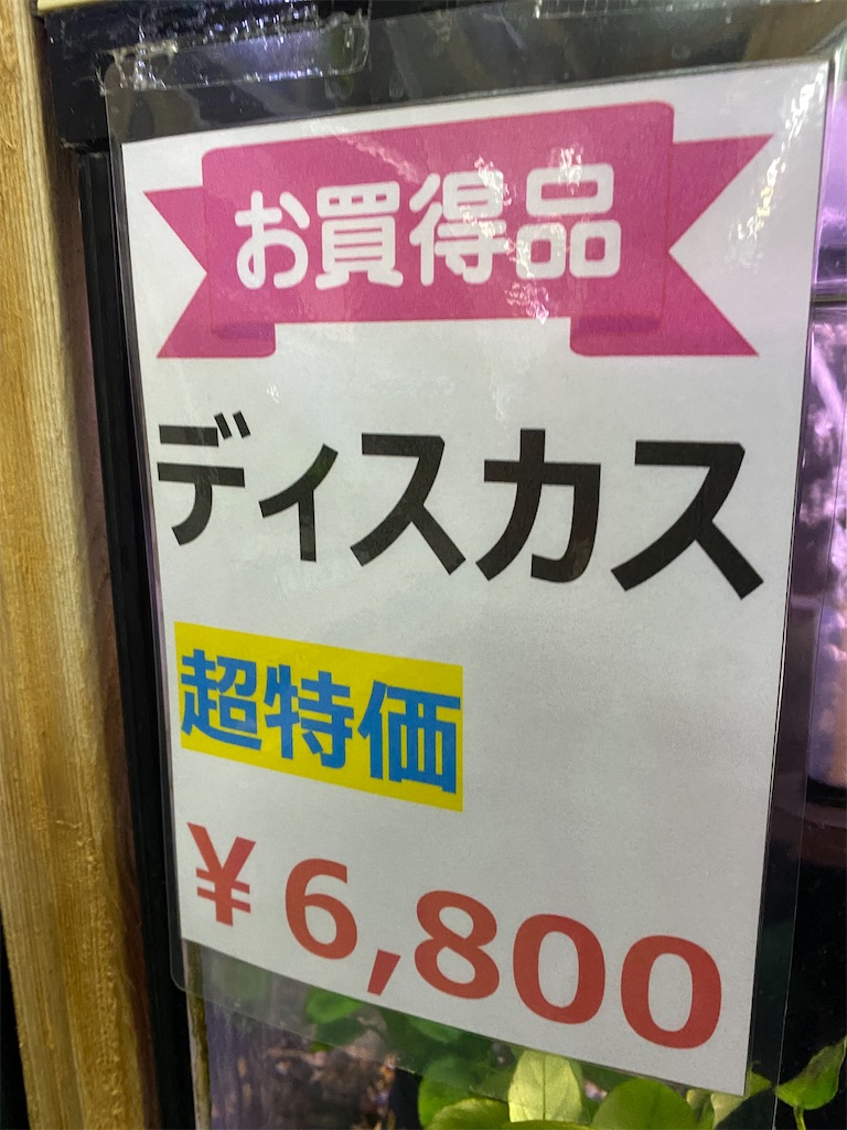 f:id:egaodegenki:20240625001950j:image