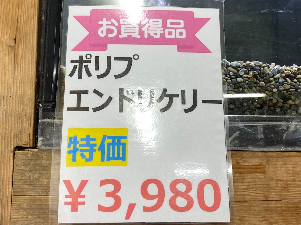 f:id:egaodegenki:20240625004808j:image
