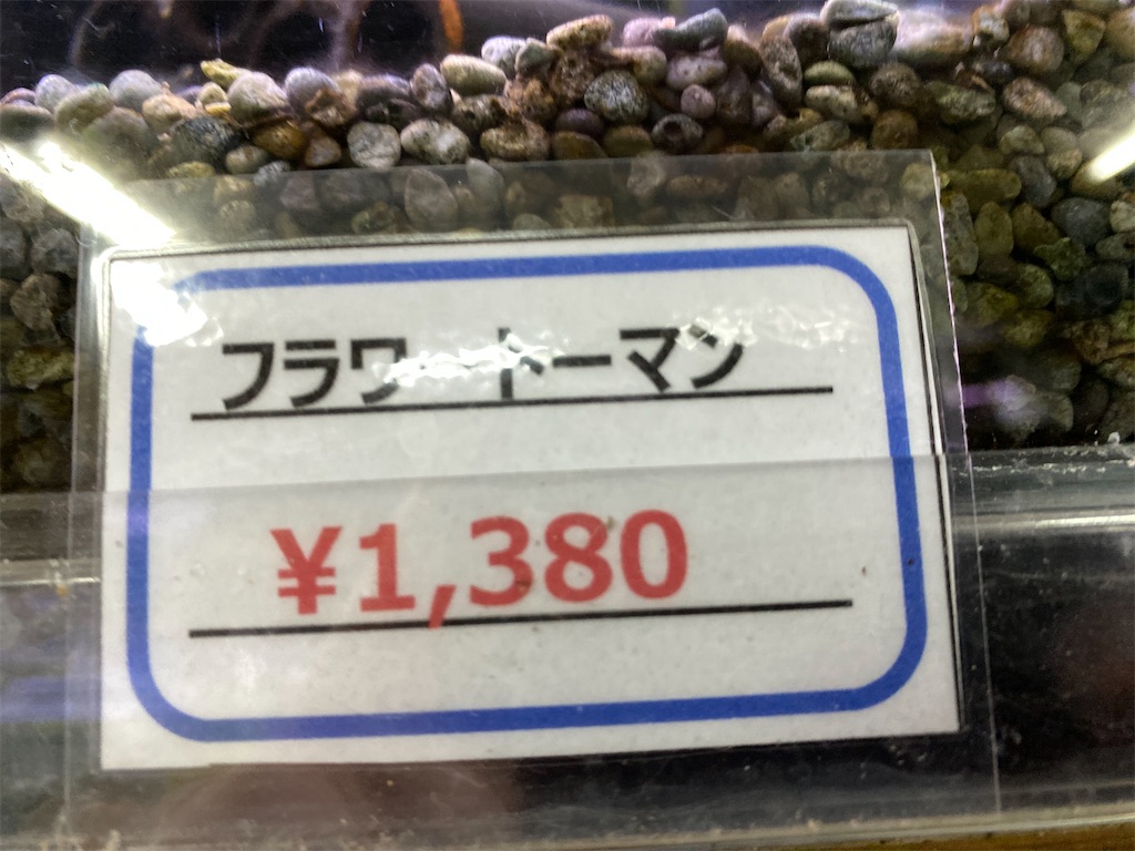 f:id:egaodegenki:20240625004826j:image