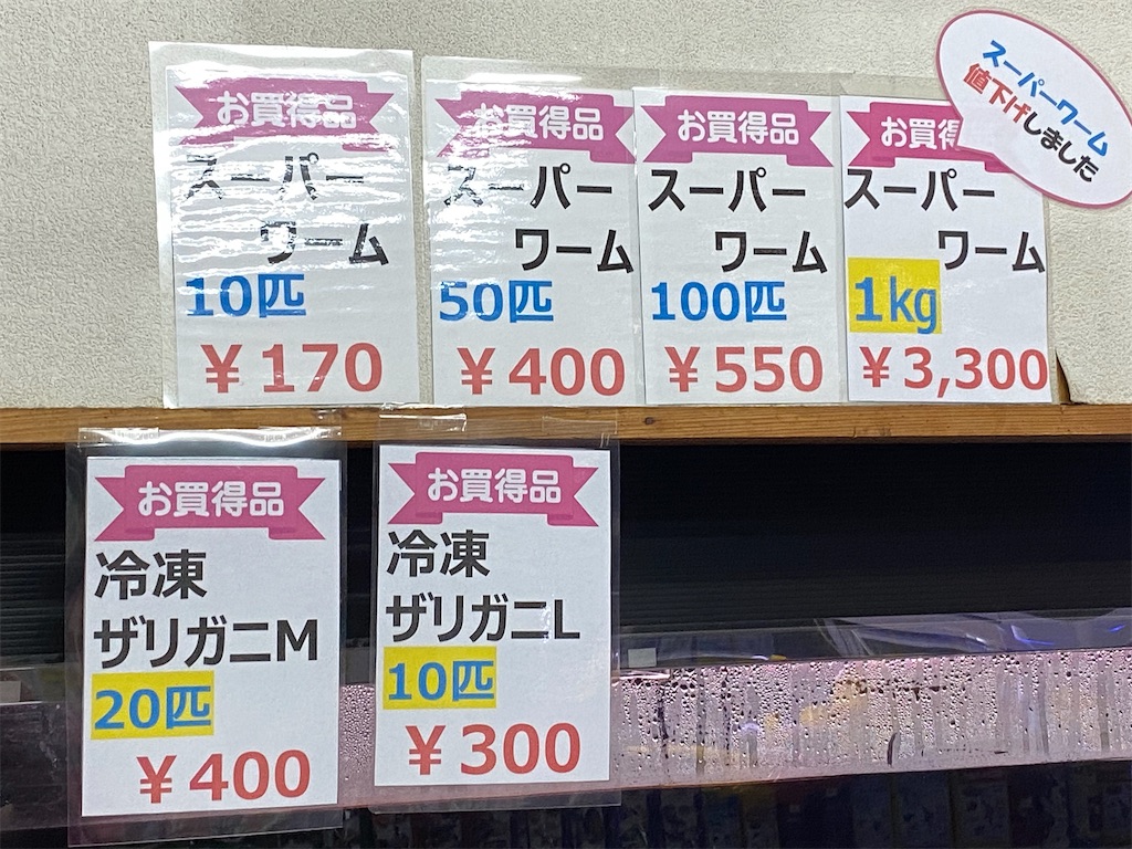f:id:egaodegenki:20240625005143j:image
