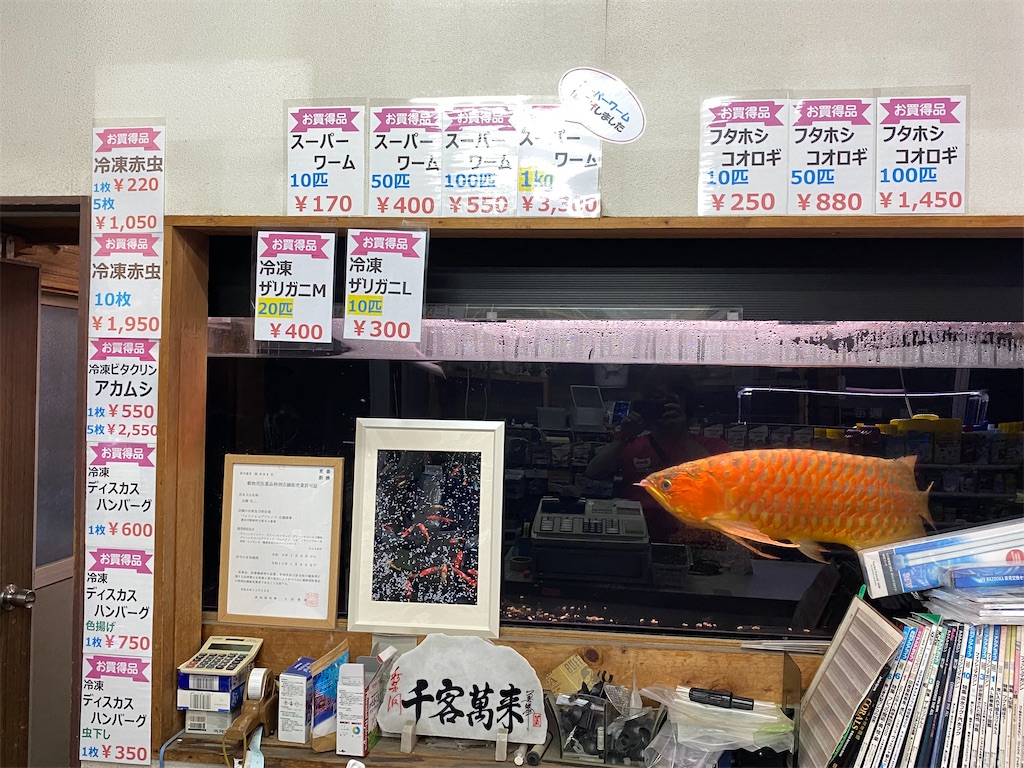 f:id:egaodegenki:20240625005145j:image