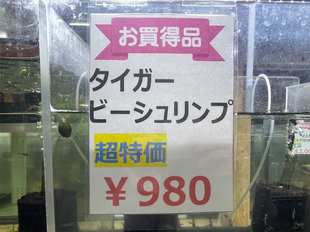 f:id:egaodegenki:20250129164615j:image