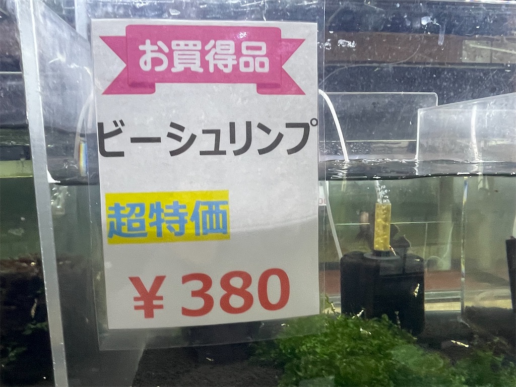 f:id:egaodegenki:20250129165617j:image