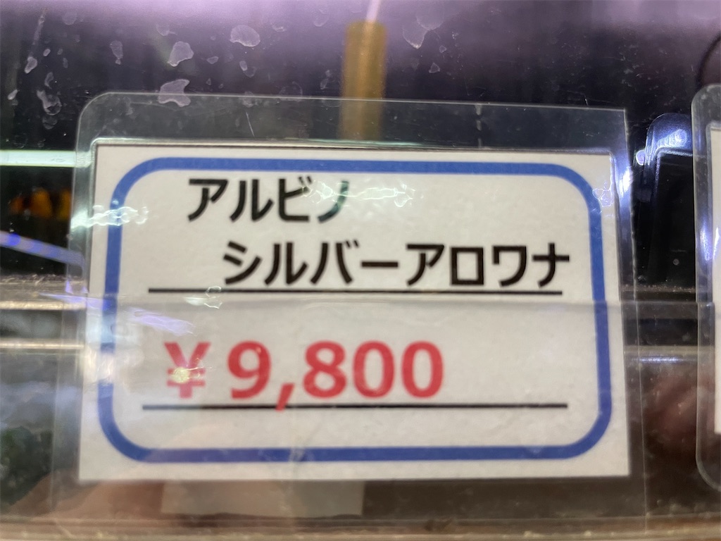 f:id:egaodegenki:20250129165737j:image