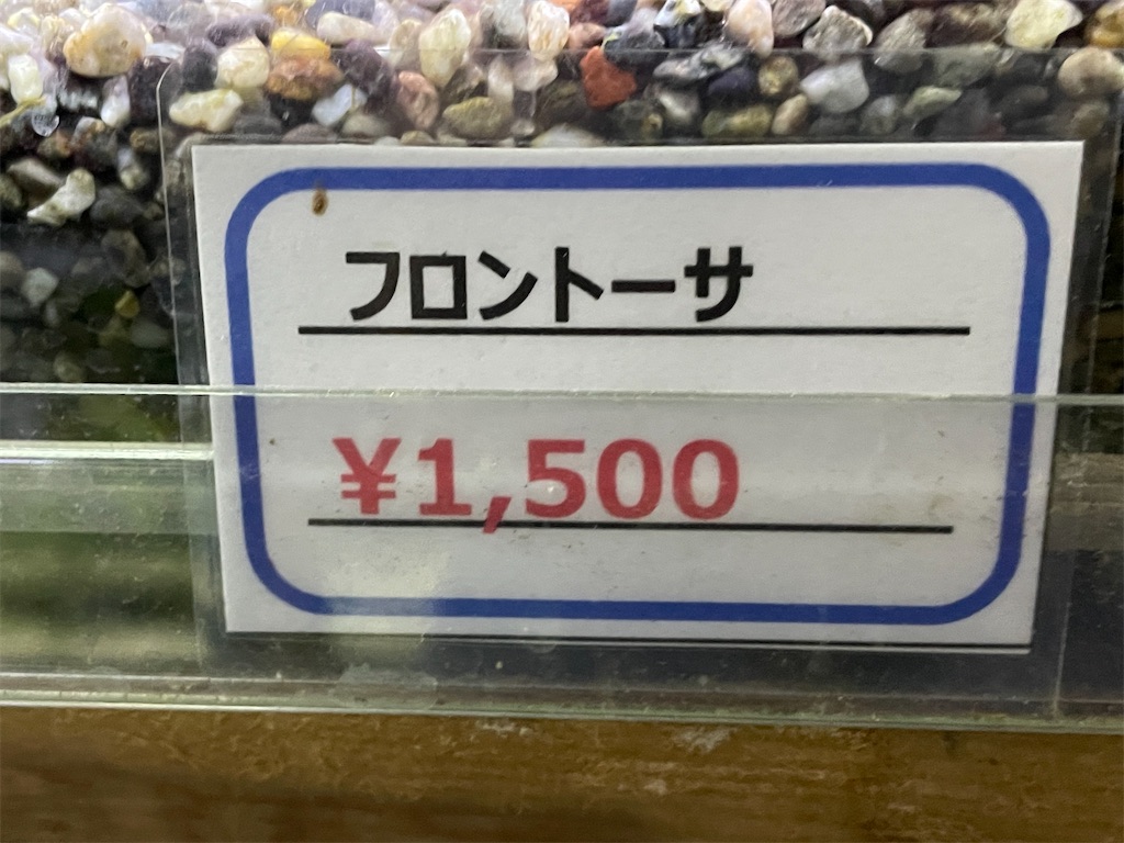 f:id:egaodegenki:20250129165845j:image