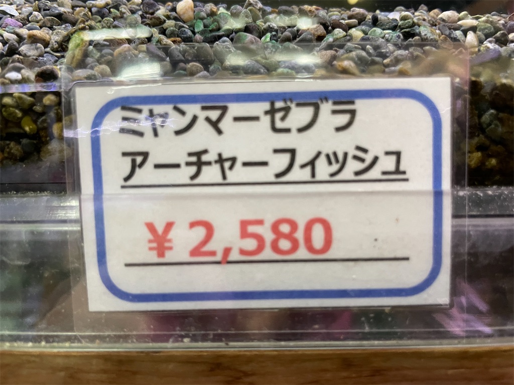 f:id:egaodegenki:20250129170002j:image