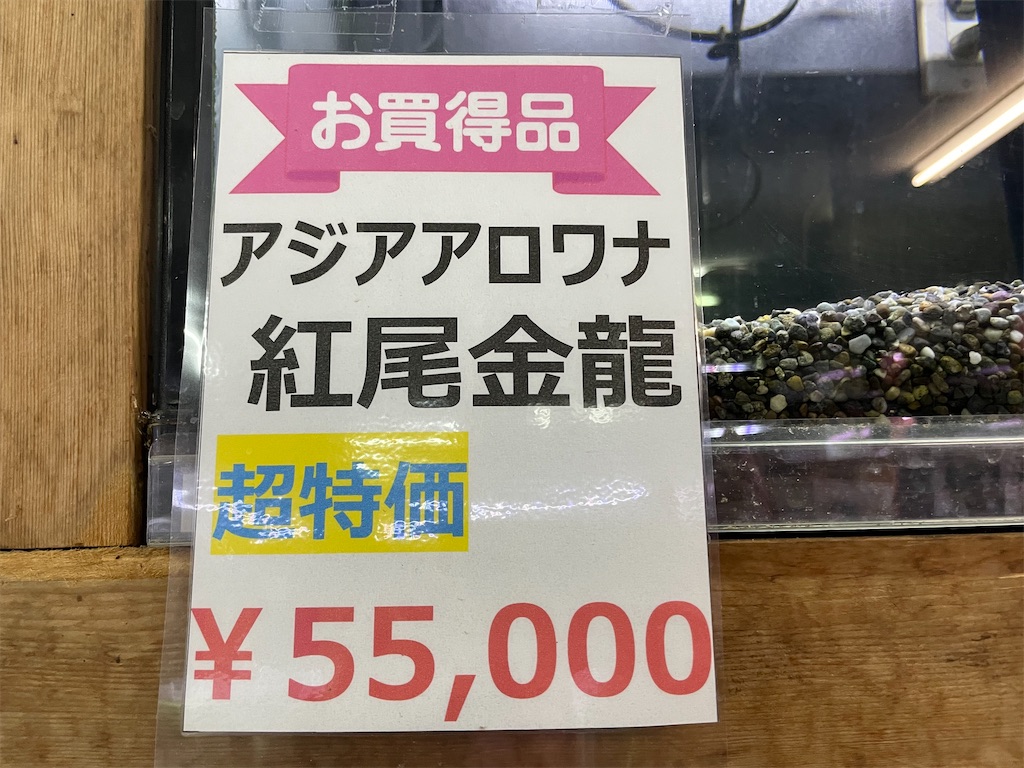 f:id:egaodegenki:20250129170036j:image