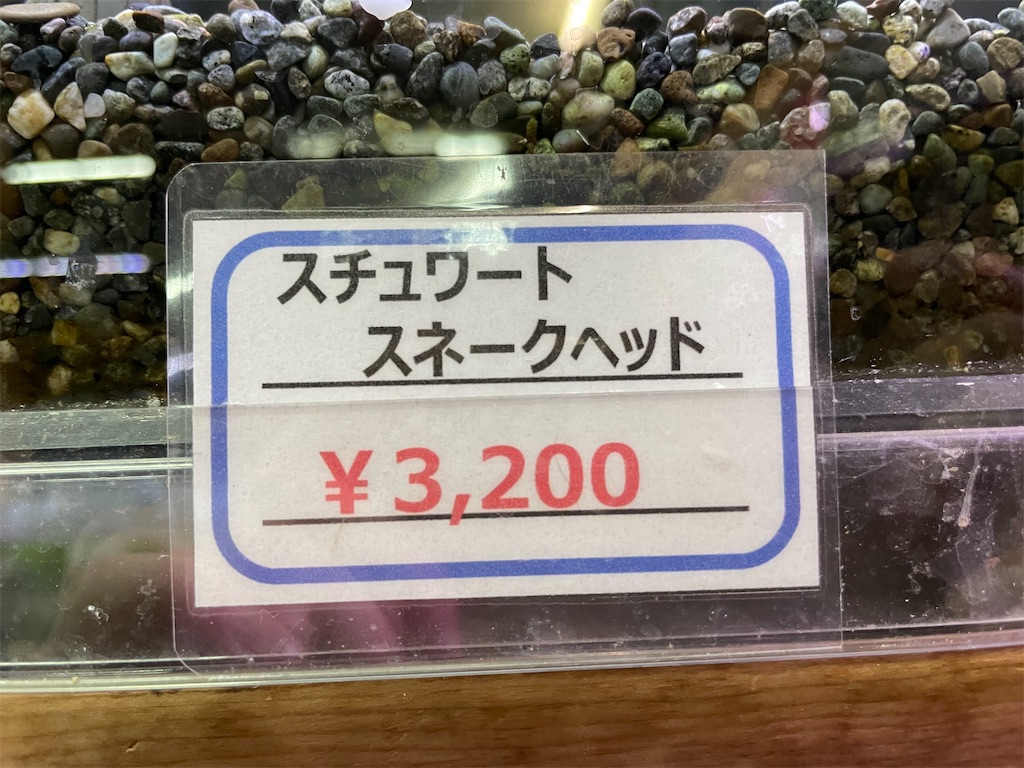 f:id:egaodegenki:20250129170039j:image