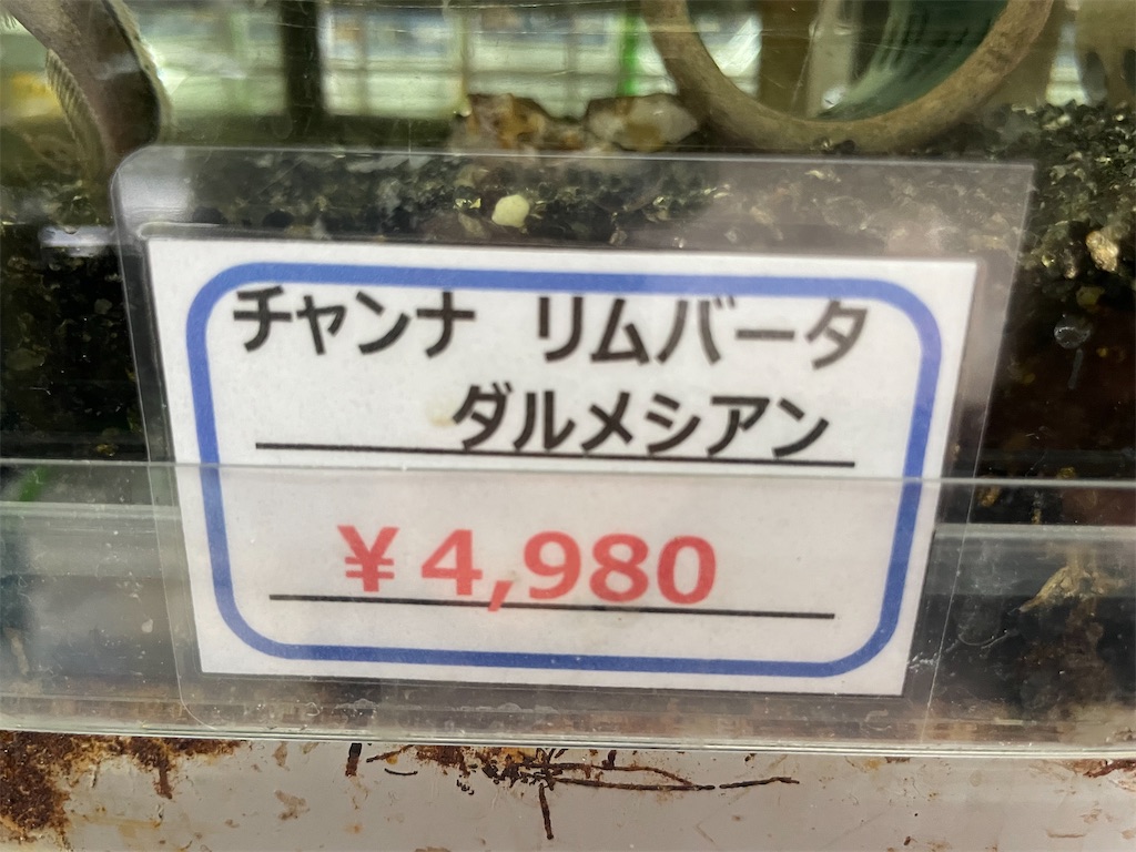 f:id:egaodegenki:20250129170124j:image