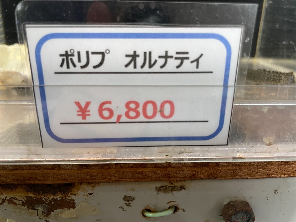 f:id:egaodegenki:20250129170201j:image