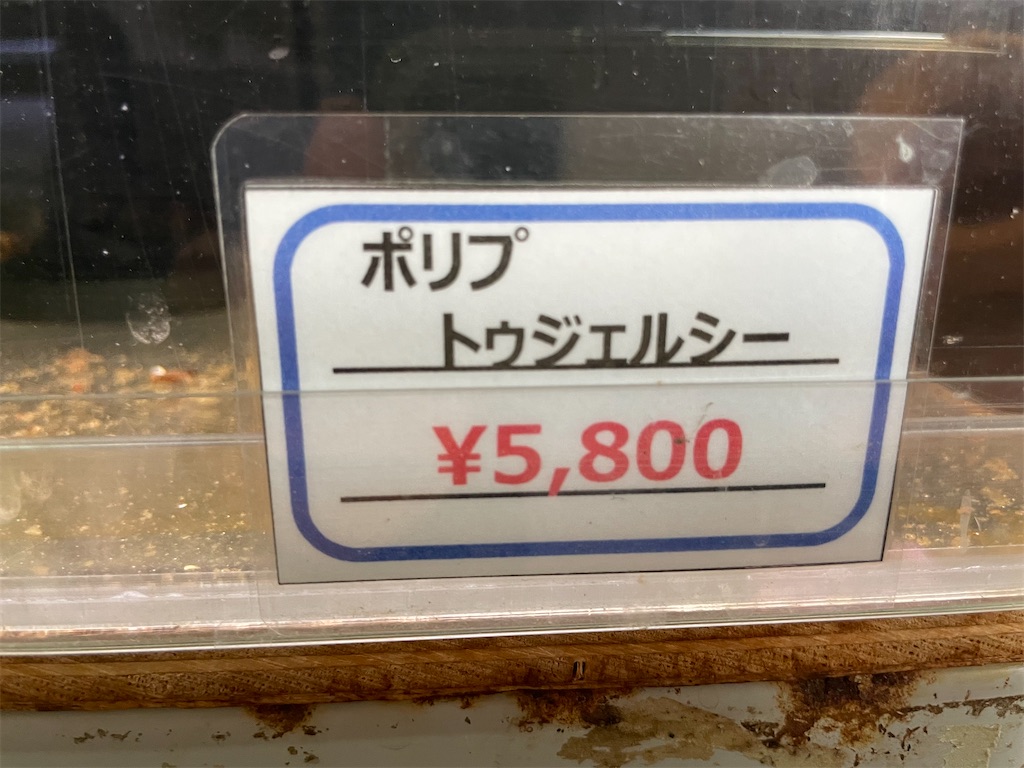 f:id:egaodegenki:20250129170207j:image