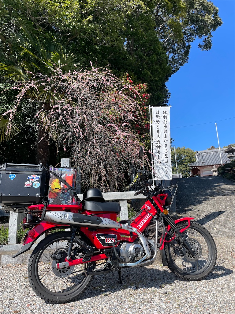 f:id:egaodegenki:20250402223614j:image