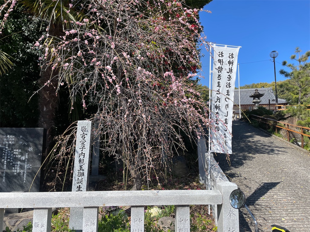 f:id:egaodegenki:20250402223619j:image