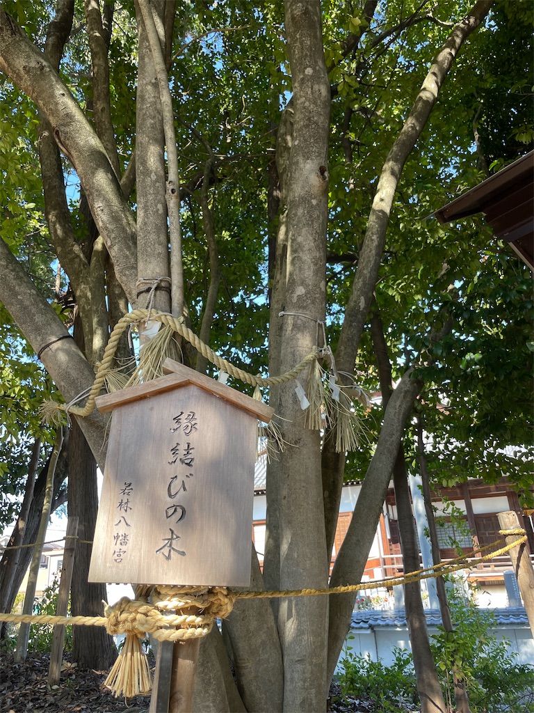 f:id:egaodegenki:20250402224344j:image