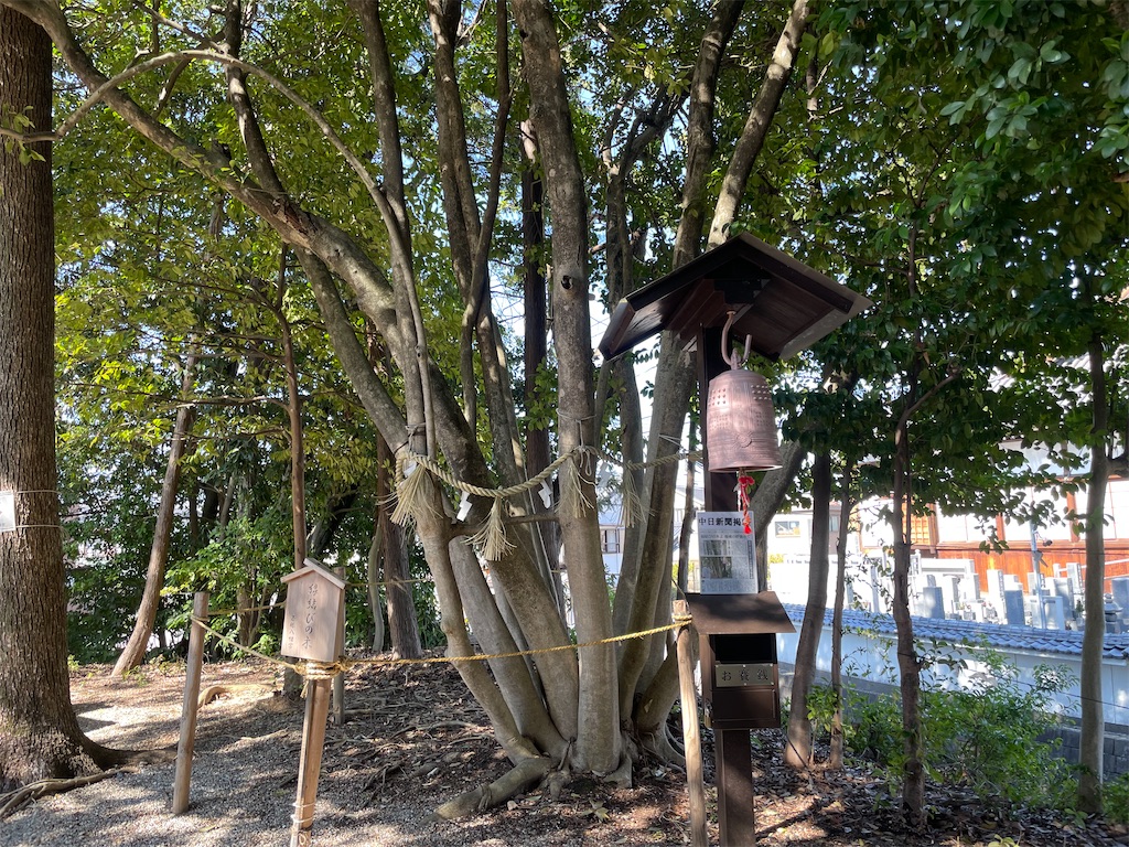 f:id:egaodegenki:20250402224348j:image