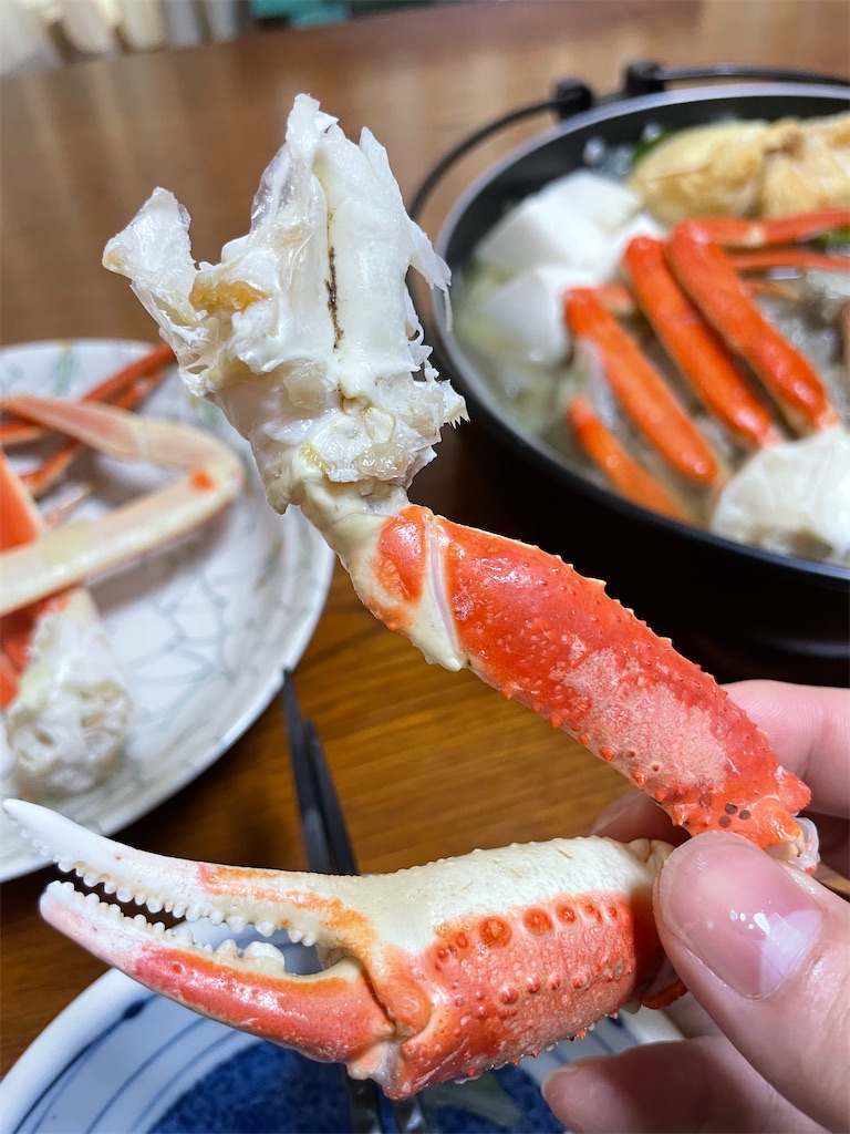 f:id:egaodegenki:20260112200325j:image