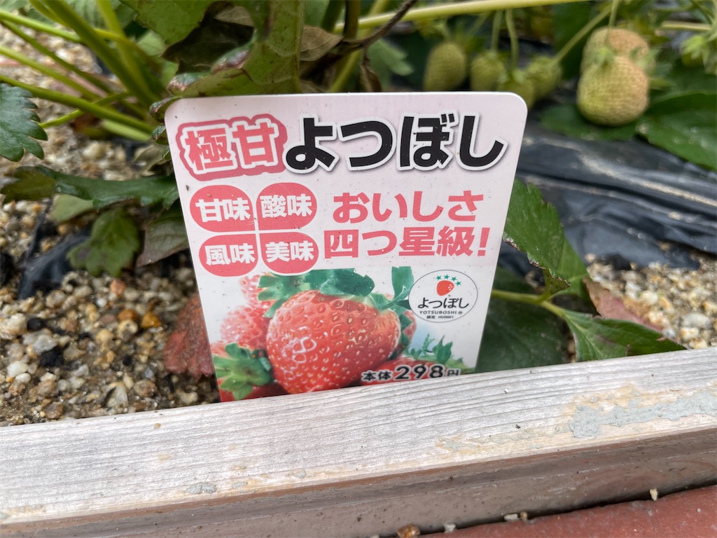 f:id:egaodegenki:20260421113023j:image