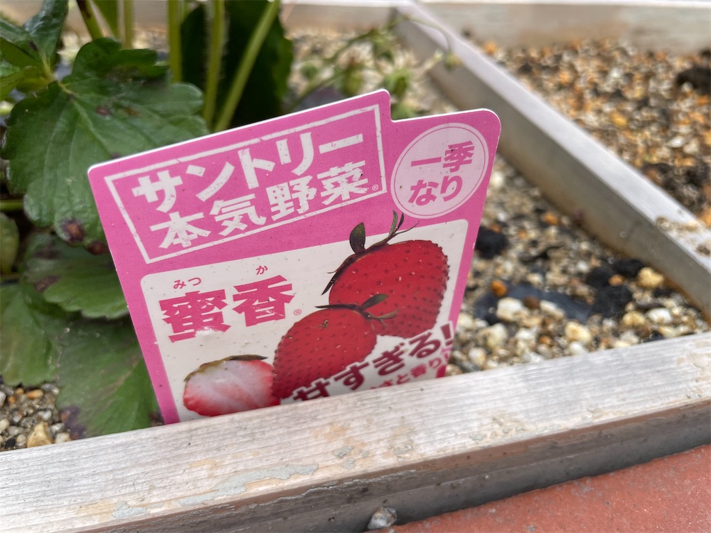 f:id:egaodegenki:20260421113206j:image
