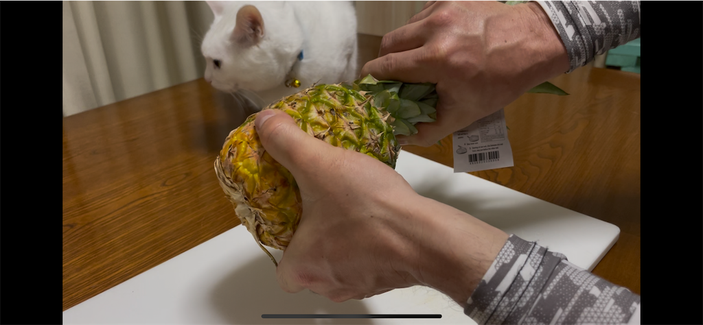 f:id:egaodegenki:20260427135638p:image