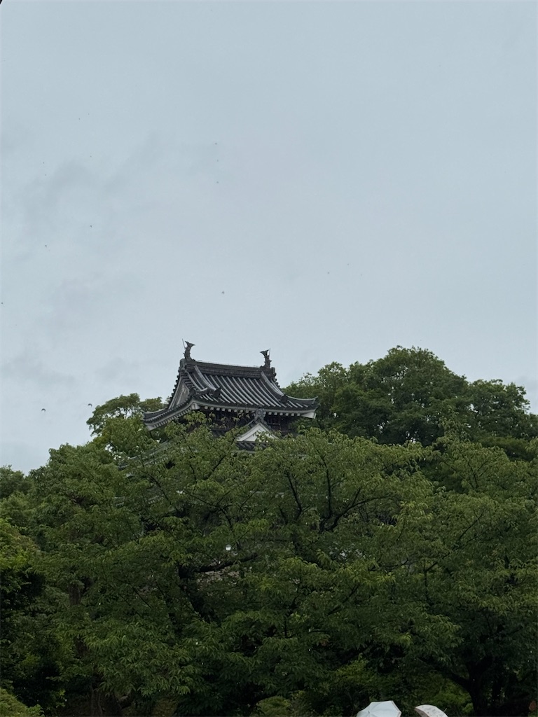 f:id:egaodegenki:20260621075642j:image