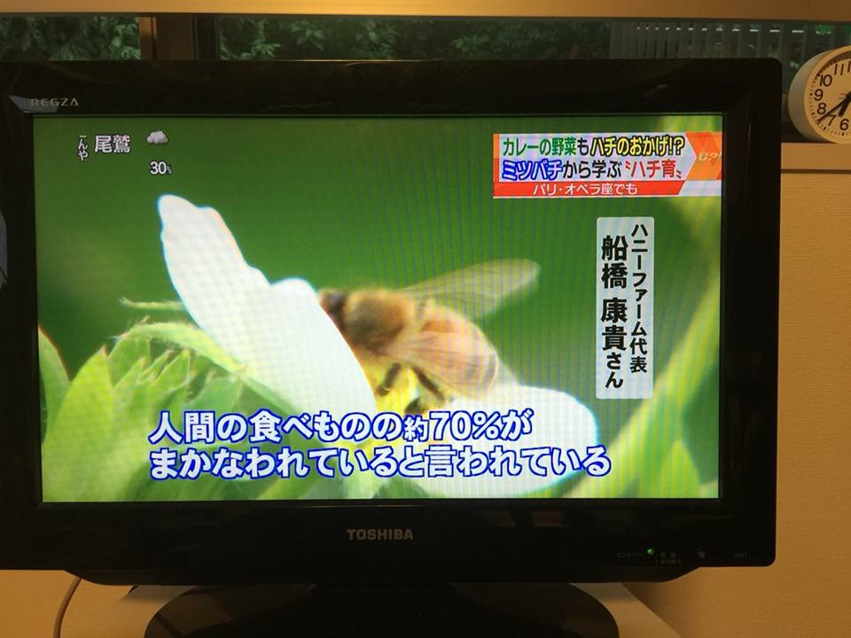 f:id:egaonohaha:20160706125344j:plain f:id:egaonohaha:20160706125344j:plain