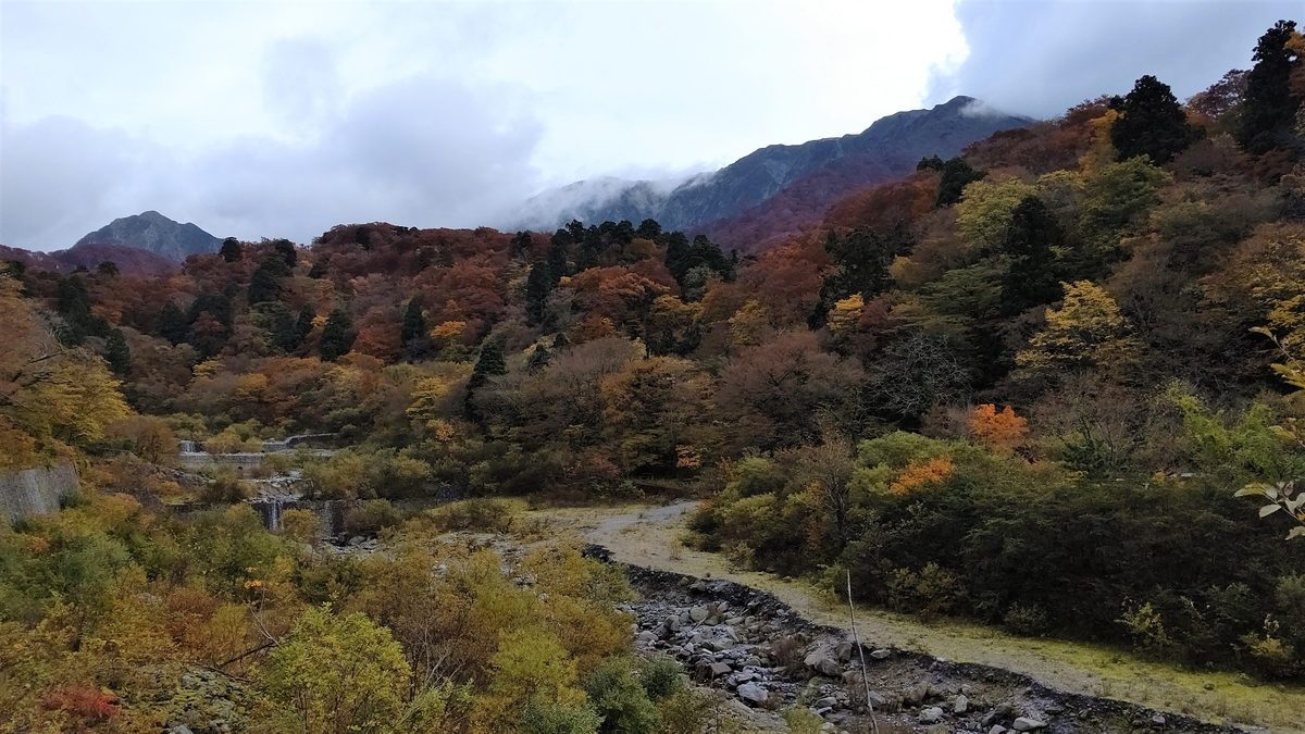 f:id:egaosouzoku:20211112215512j:plain