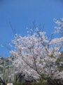 20110409133046