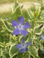 20110417135325