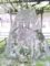 20120503135453