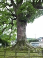 20120503142929