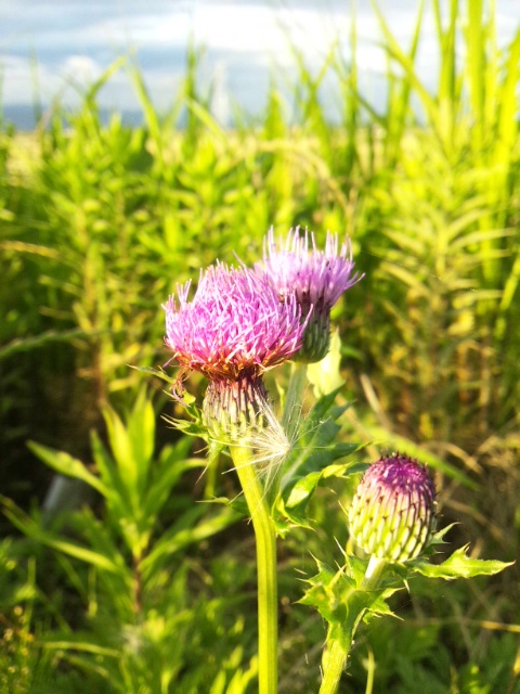 20130610182909