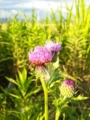20130610182909