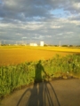 20130610183308