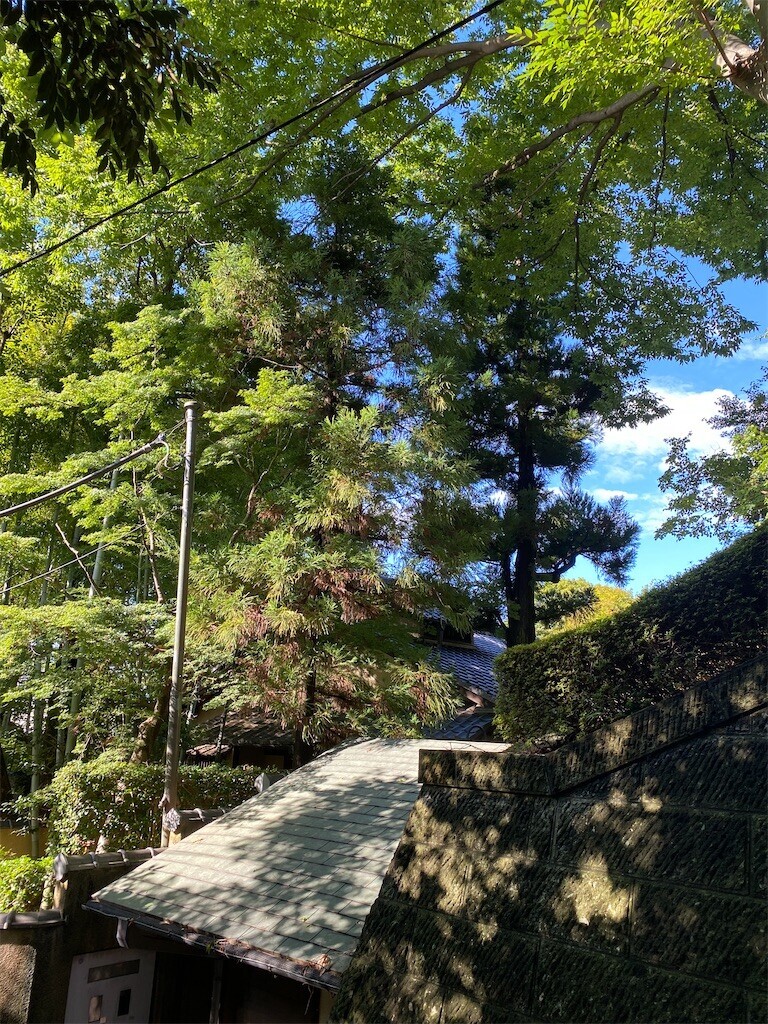 f:id:egawahiroshi:20240817082854j:image