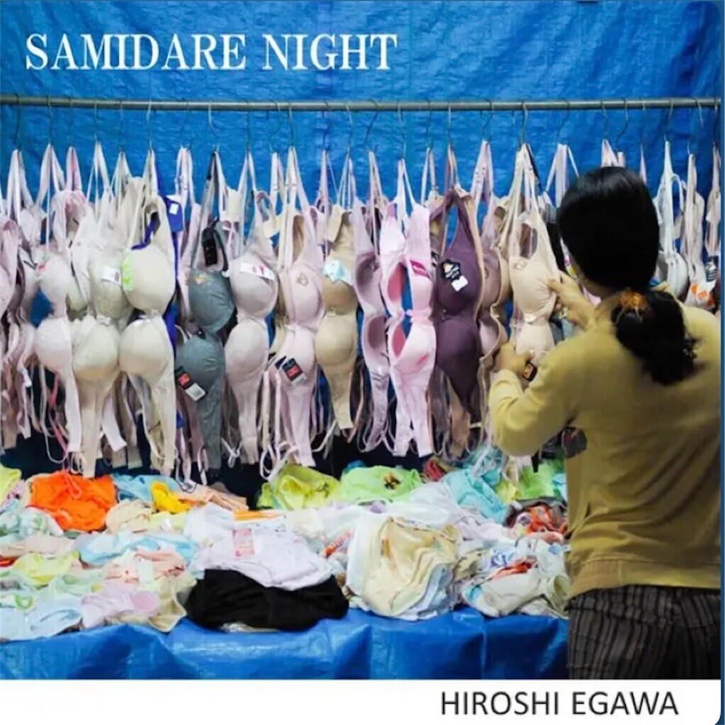 f:id:egawahiroshi:20240819213524j:image