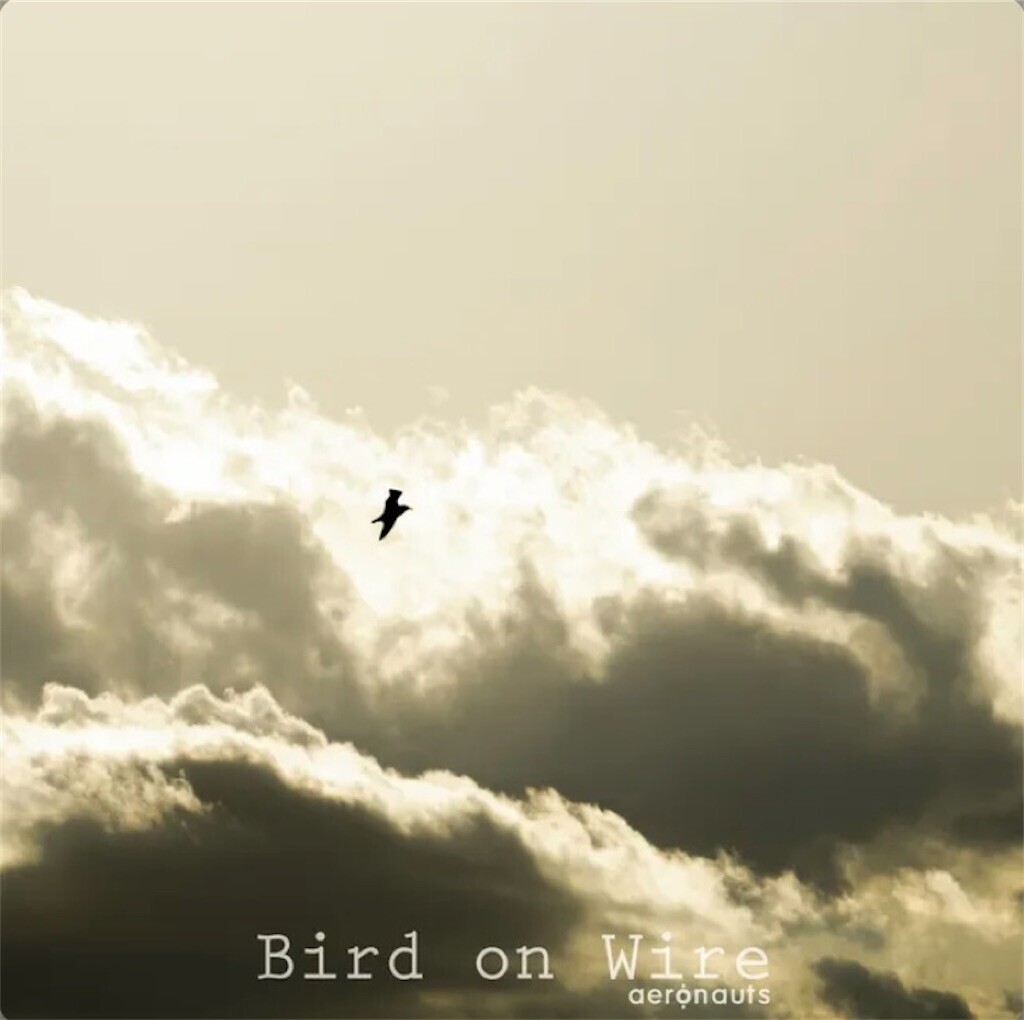 f:id:egawahiroshi:20250127153112j:image