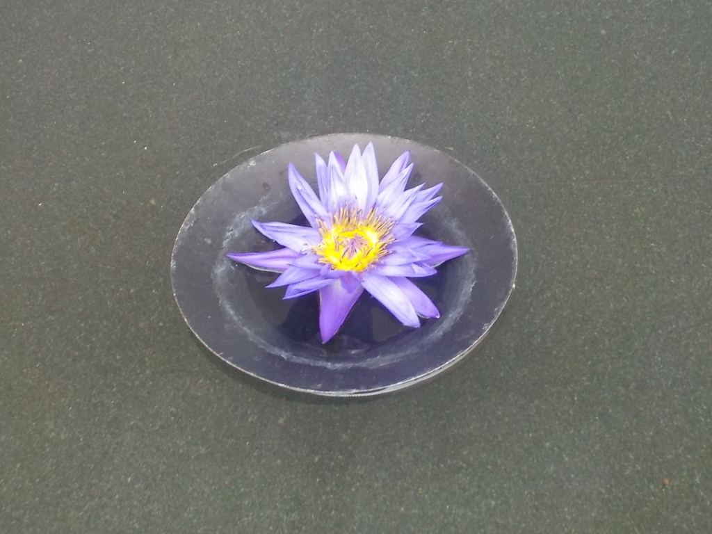 f:id:egg580:20180725152443j:plain f:id:egg580:20180725152443j:plain