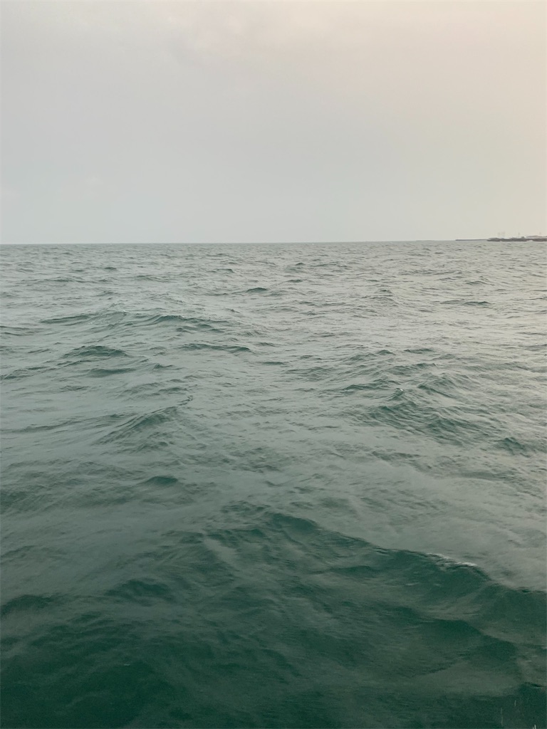 f:id:egg88:20190609075654j:image