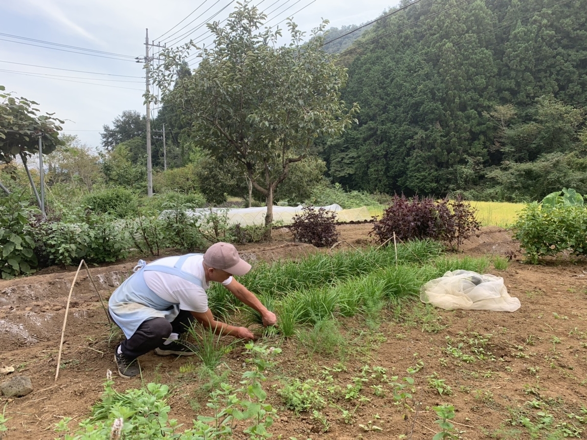 f:id:eggyazawa:20191029161721j:plain