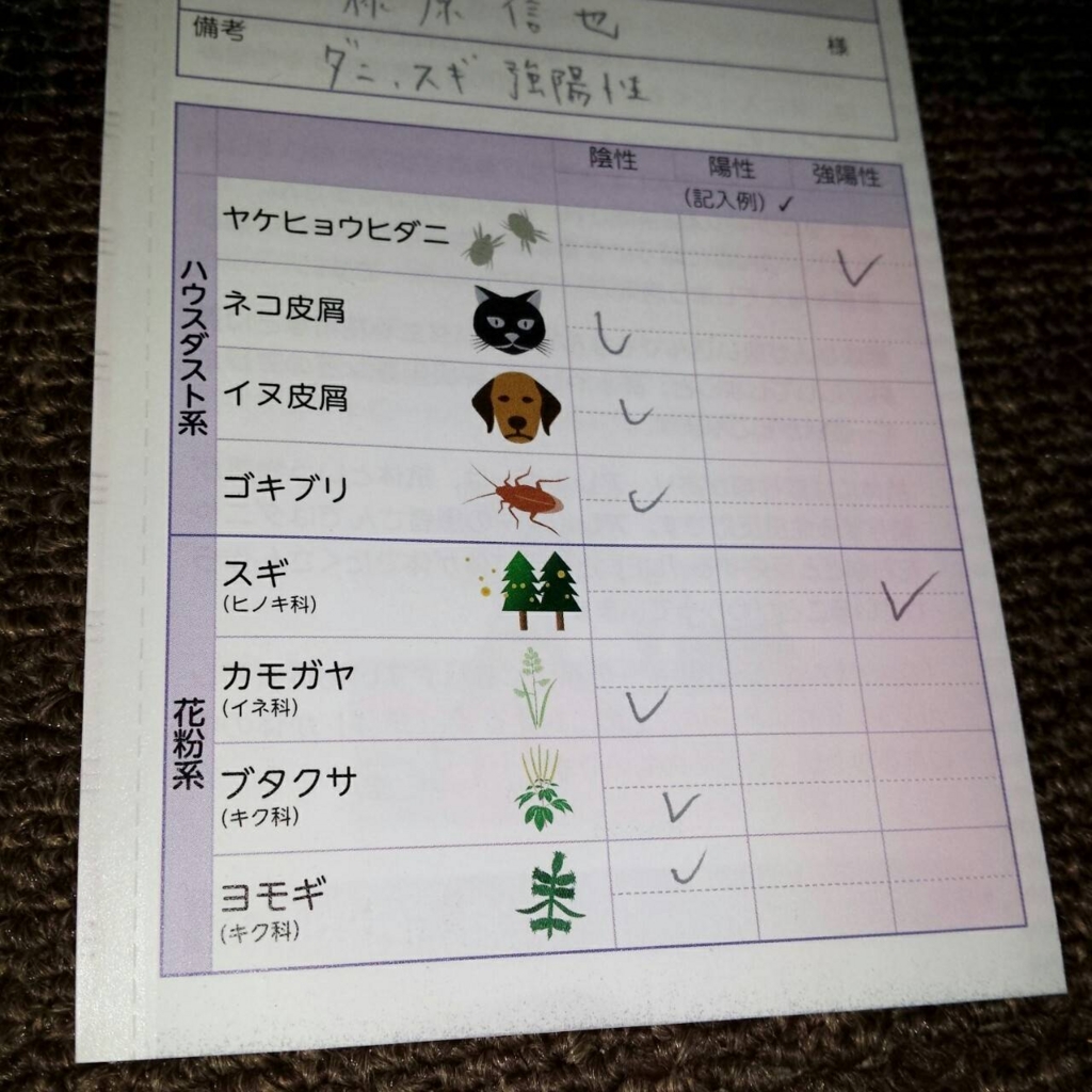 f:id:egidanbucho:20170519172500j:plain