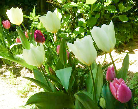 f:id:egomamax:20200411212316j:plain