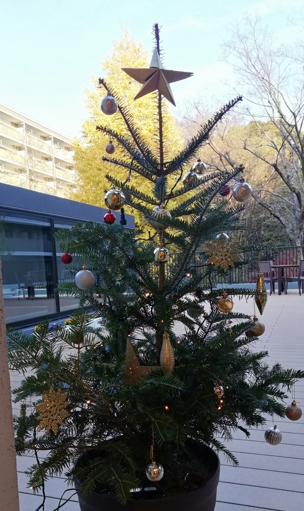 f:id:egotamorinoie:20181221153853j:plain