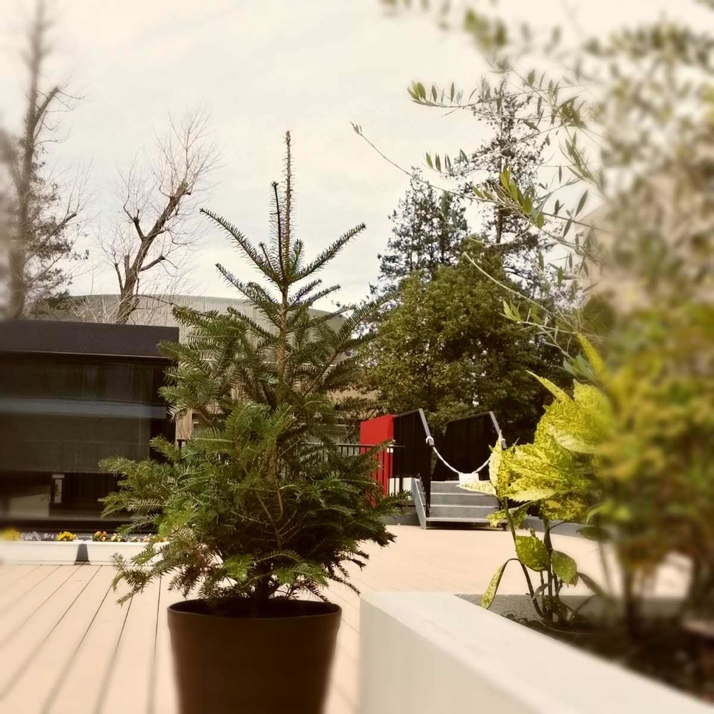 f:id:egotamorinoie:20190106145741j:plain f:id:egotamorinoie:20190106145741j:plain