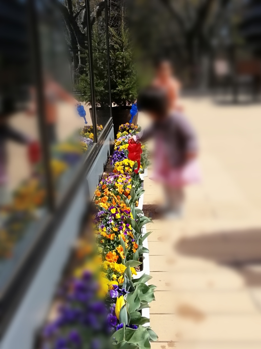 f:id:egotamorinoie:20190324141149j:plain