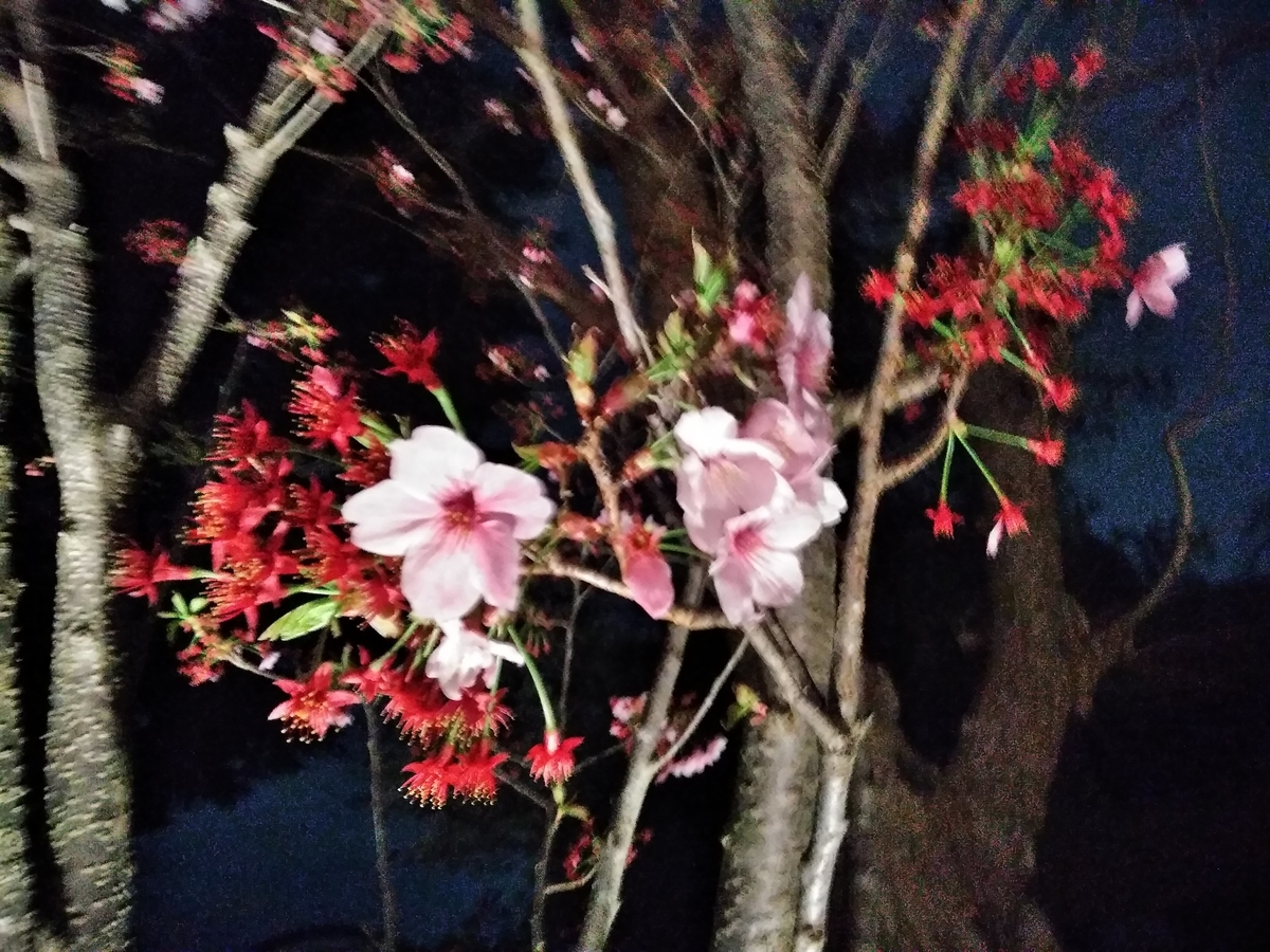 f:id:egotamorinoie:20190329003329j:plain