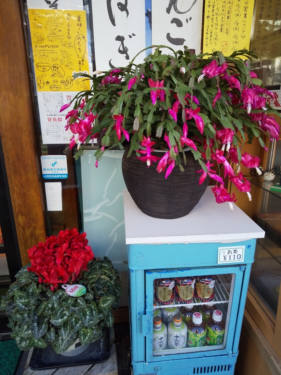 f:id:egotamorinoie:20191205195516j:plain