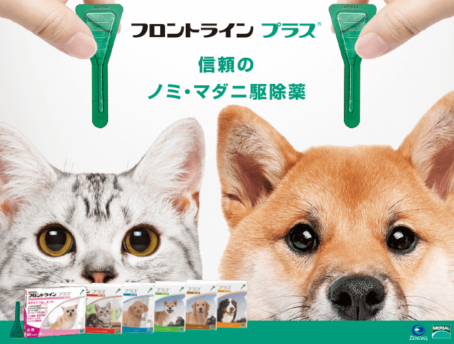 f:id:eguchishun02:20180727033916p:plain f:id:eguchishun02:20180727033916p:plain