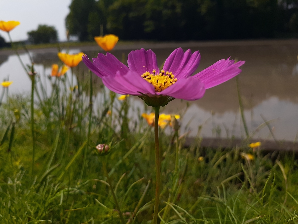 f:id:eguegg:20210529192215j:plain