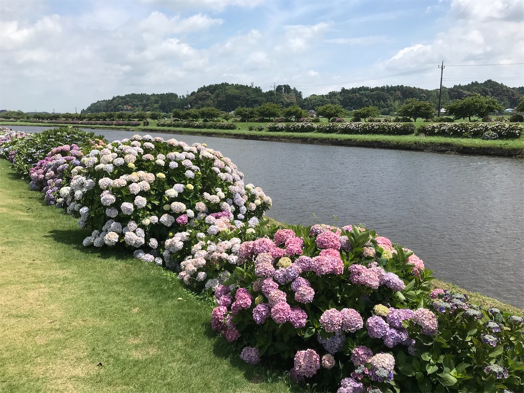 f:id:egushiro:20220624113403j:image f:id:egushiro:20220624113403j:image